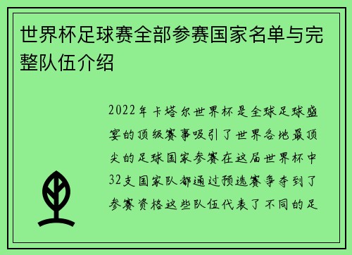 世界杯足球赛全部参赛国家名单与完整队伍介绍