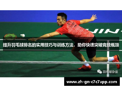 提升羽毛球排名的实用技巧与训练方法,助你快速突破竞技瓶颈 提升羽毛球排名的实用技巧与训练方法,助你快速突破竞技瓶颈
