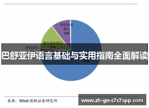 巴舒亚伊语言基础与实用指南全面解读