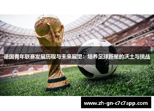 德国青年联赛发展历程与未来展望：培养足球新星的沃土与挑战