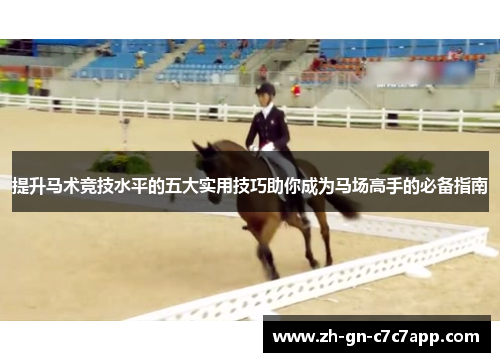 提升马术竞技水平的五大实用技巧助你成为马场高手的必备指南