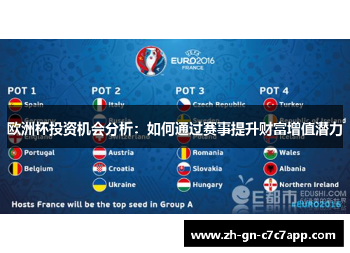 欧洲杯投资机会分析:如何通过赛事提升财富增值潜力 欧洲杯投资机会分析:如何通过赛事提升财富增值潜力