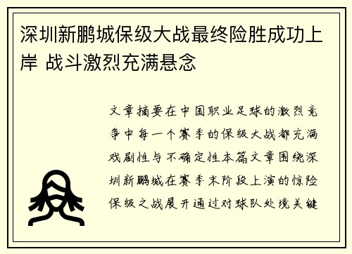 深圳新鹏城保级大战最终险胜成功上岸 战斗激烈充满悬念 深圳新鹏城保级大战最终险胜成功上岸 战斗激烈充满悬念